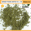 Product Quality Green Mung Beans New Crop